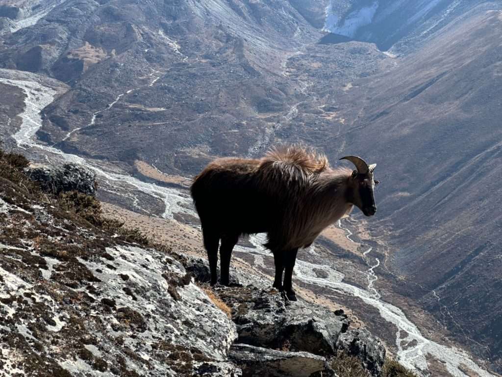 Три перевала Гималаи